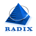 Radixweb