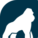 Health Gorilla