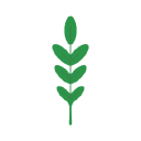 GreenieRE